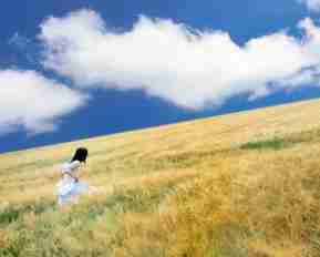 渗﻿透‌测﻿试﻿工‌具‌有﻿哪​些​类​型​